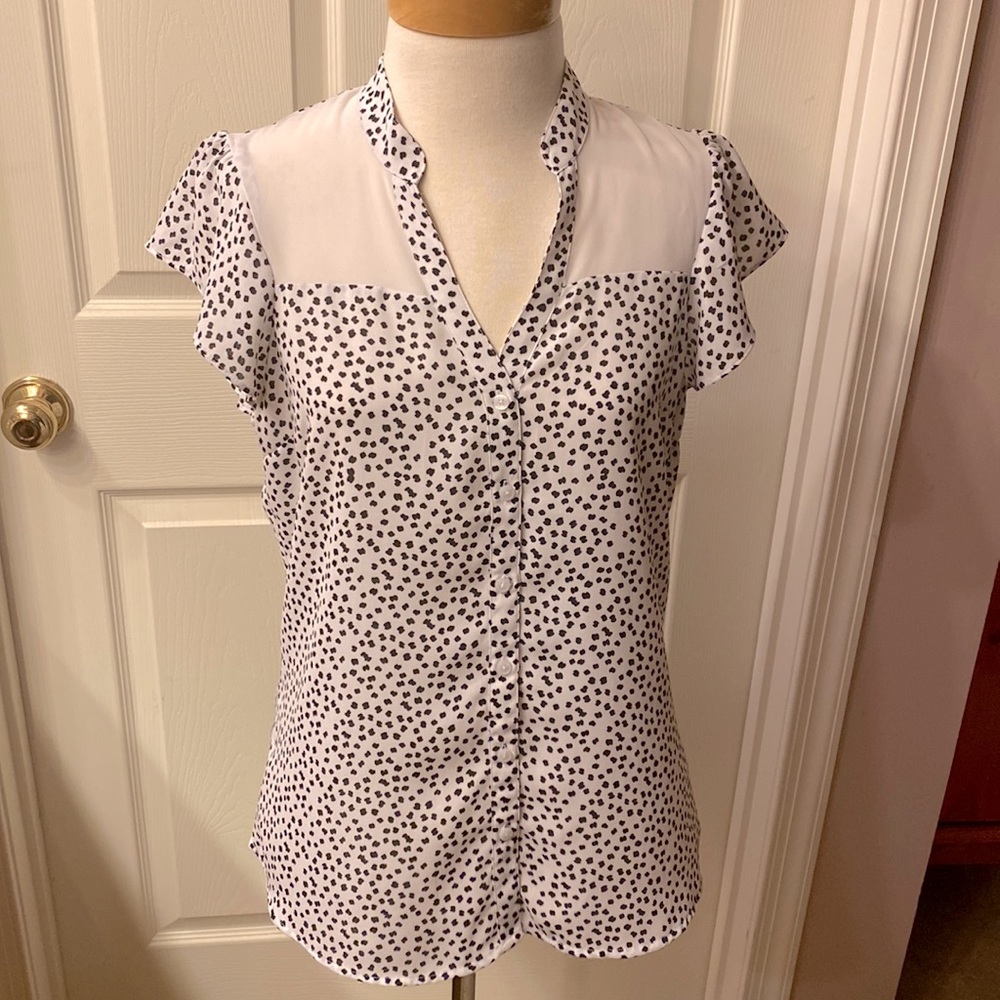 Express printed, flutter sleeve blouse